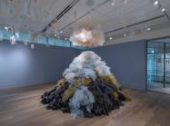 Installation View of Fervor: Illuminating the Spirit of Nature