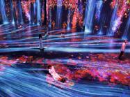 Immersive art