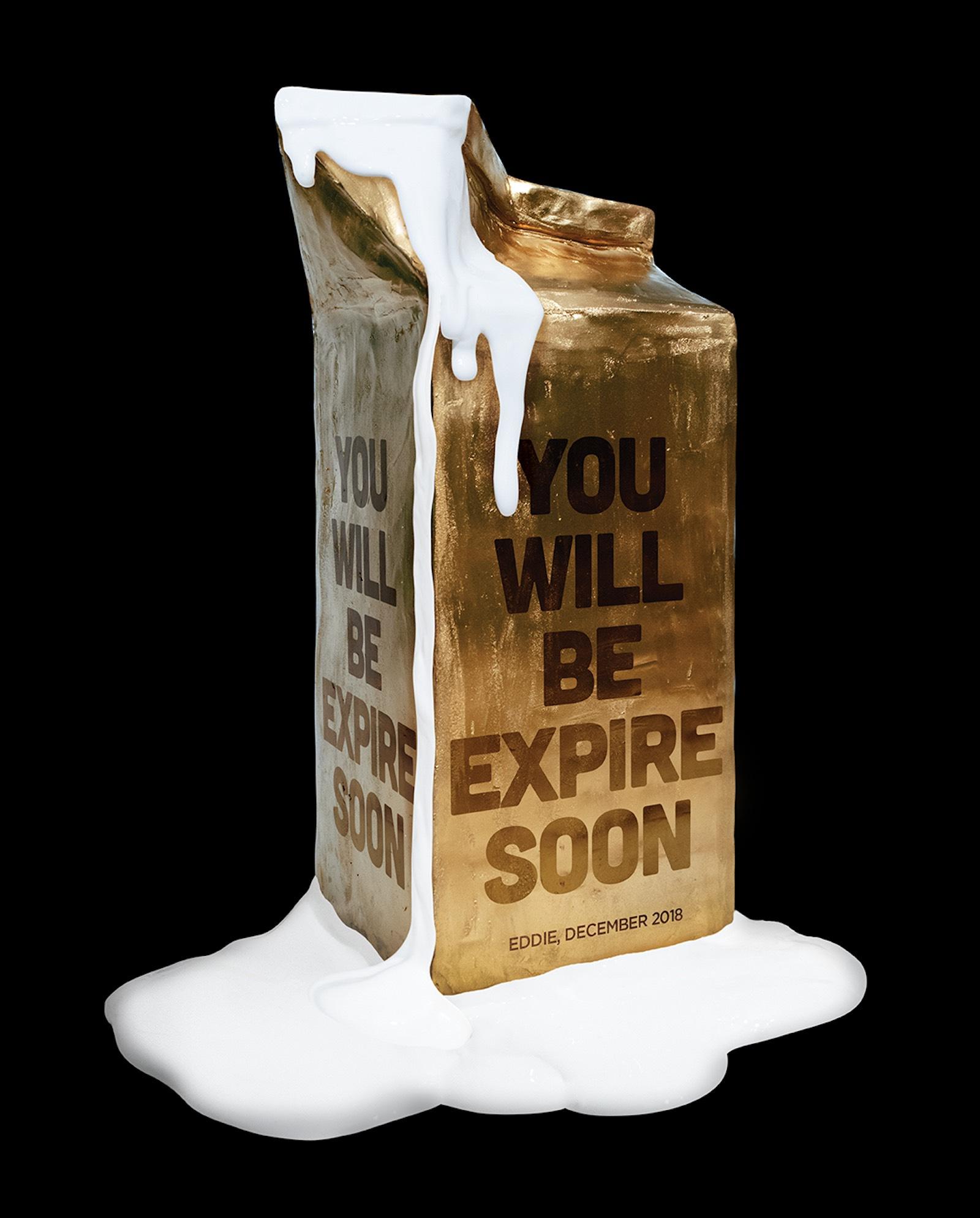 Sareytales - 'Be Expire' - 11x14