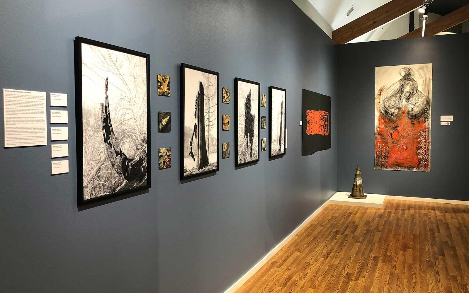 Installation view of Fire &amp; Ice: Our Changing Landscape.