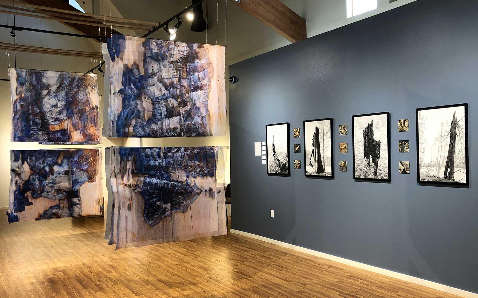 Installation view of Fire &amp; Ice: Our Changing Landscape.