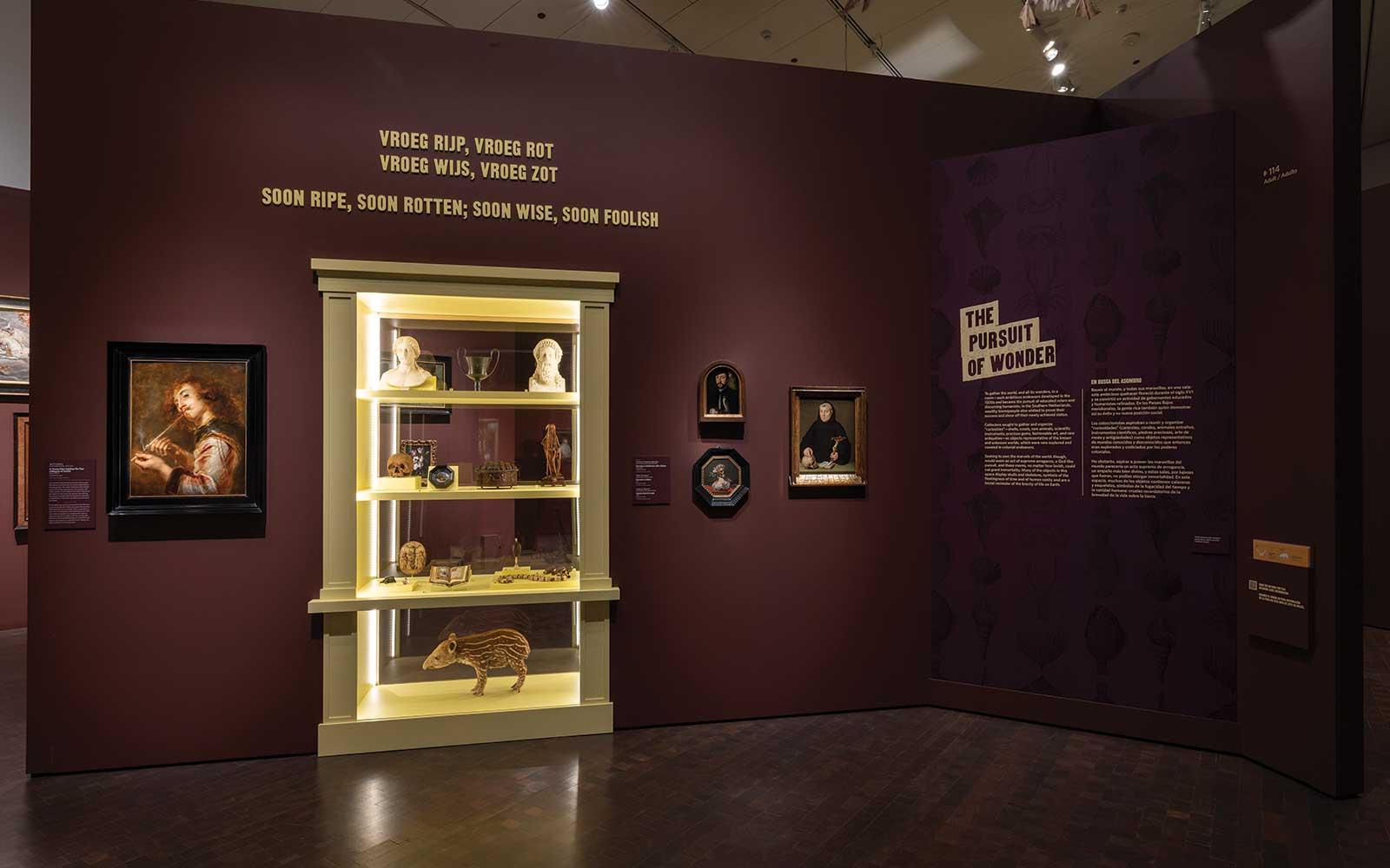 exhibit