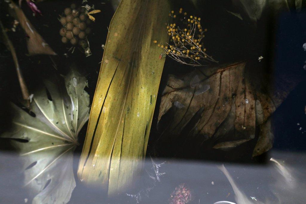 Marcin Rusak, Detail of Flora Cabinet, designed in 2015