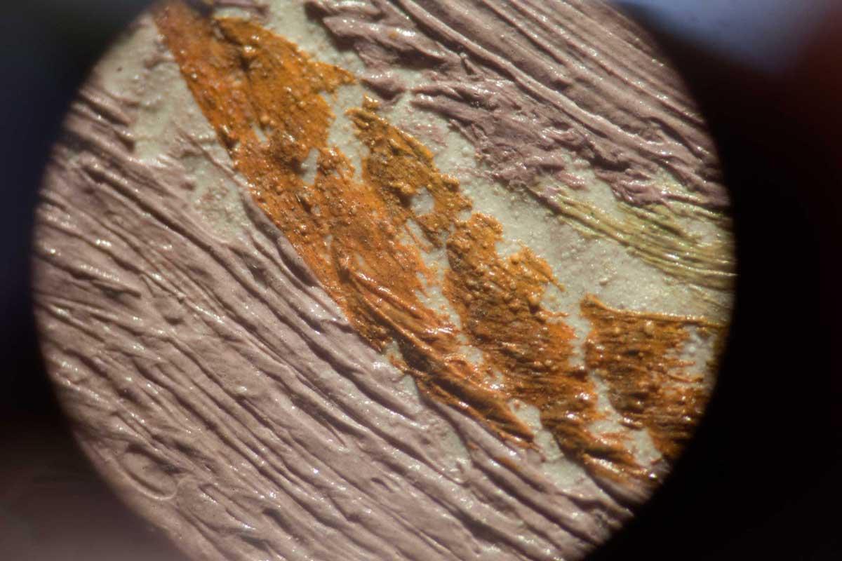 Microprotrusion detail from White Bird of Paradise, 2015.