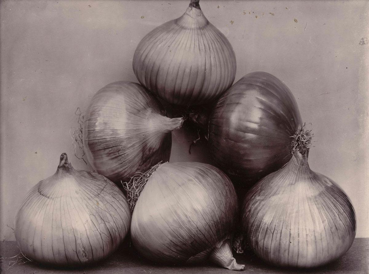 Onions