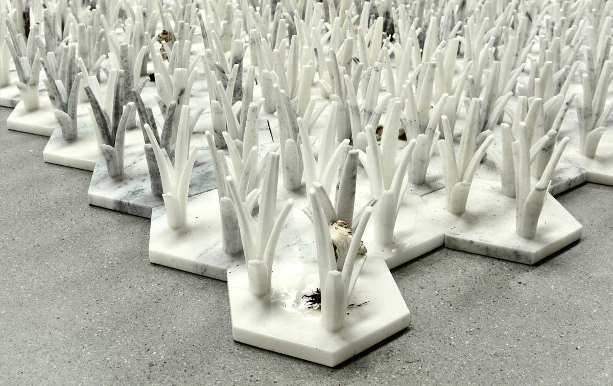 Ai Weiwei: Cao/Humanity at UTA Artist Space