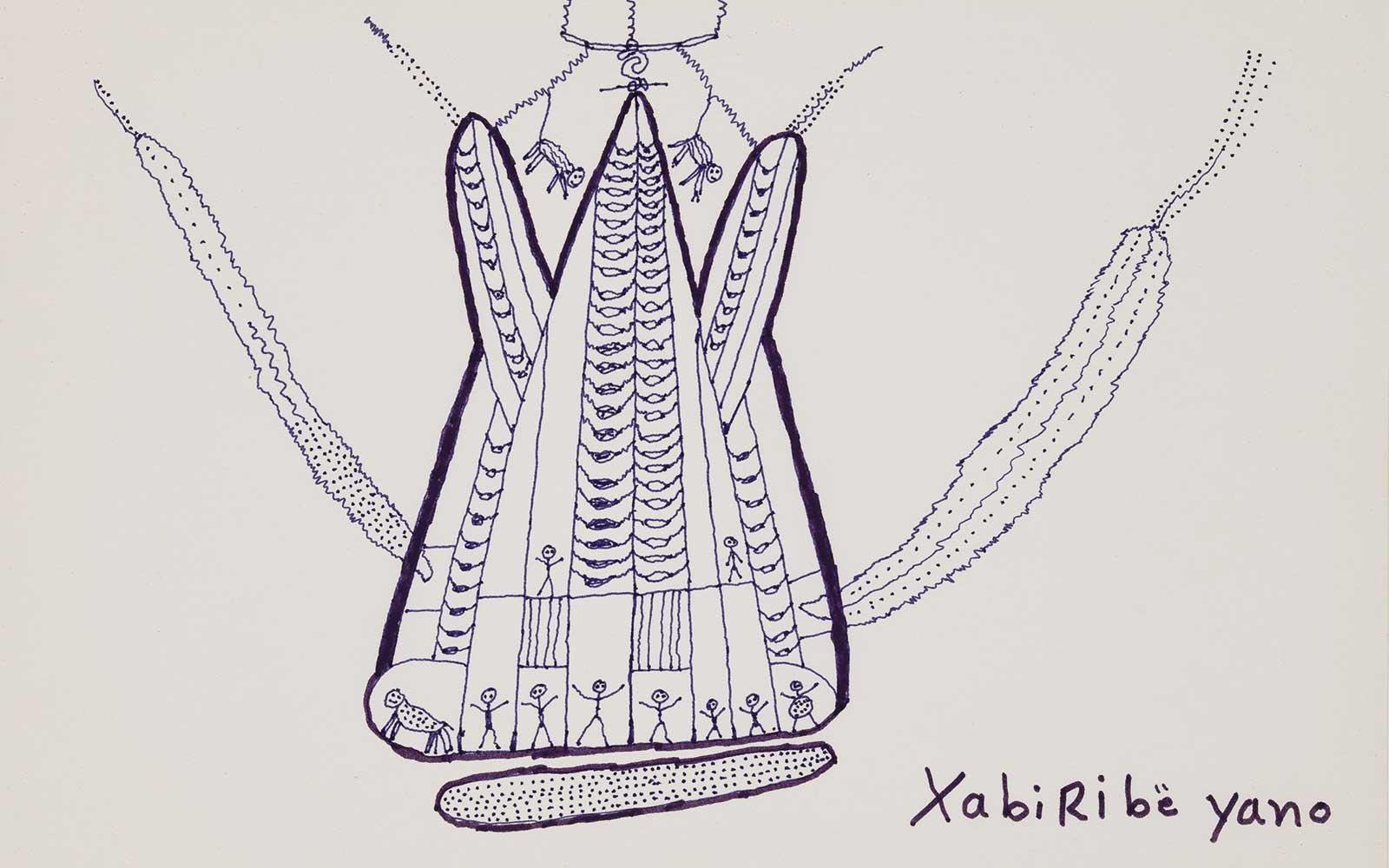 The house of the xapiri spirits