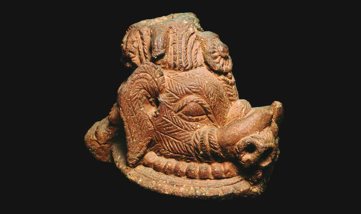 Elephant head