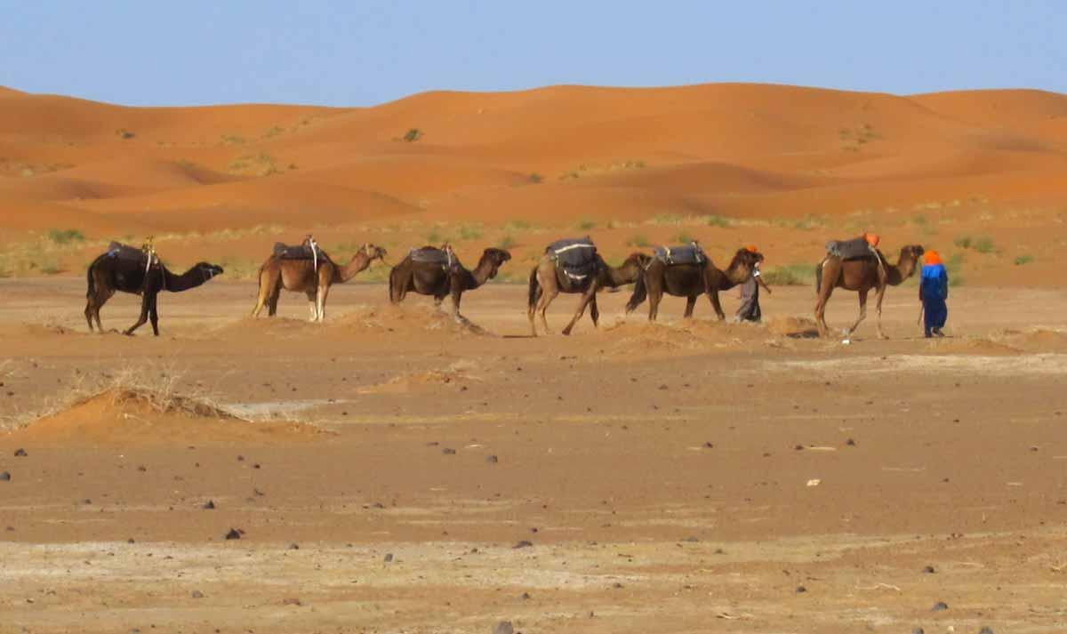 Erg Chebbi dunes. 