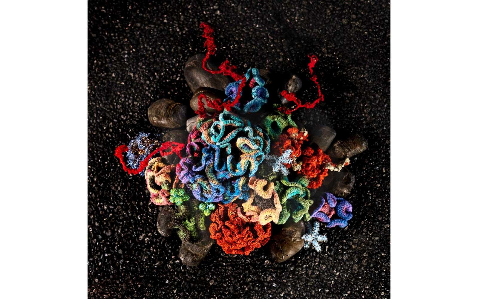 Noru-yarn corals by Una Morrison and Ola Breslin, Pod World—Blue Coral Landscape, 2009–22.