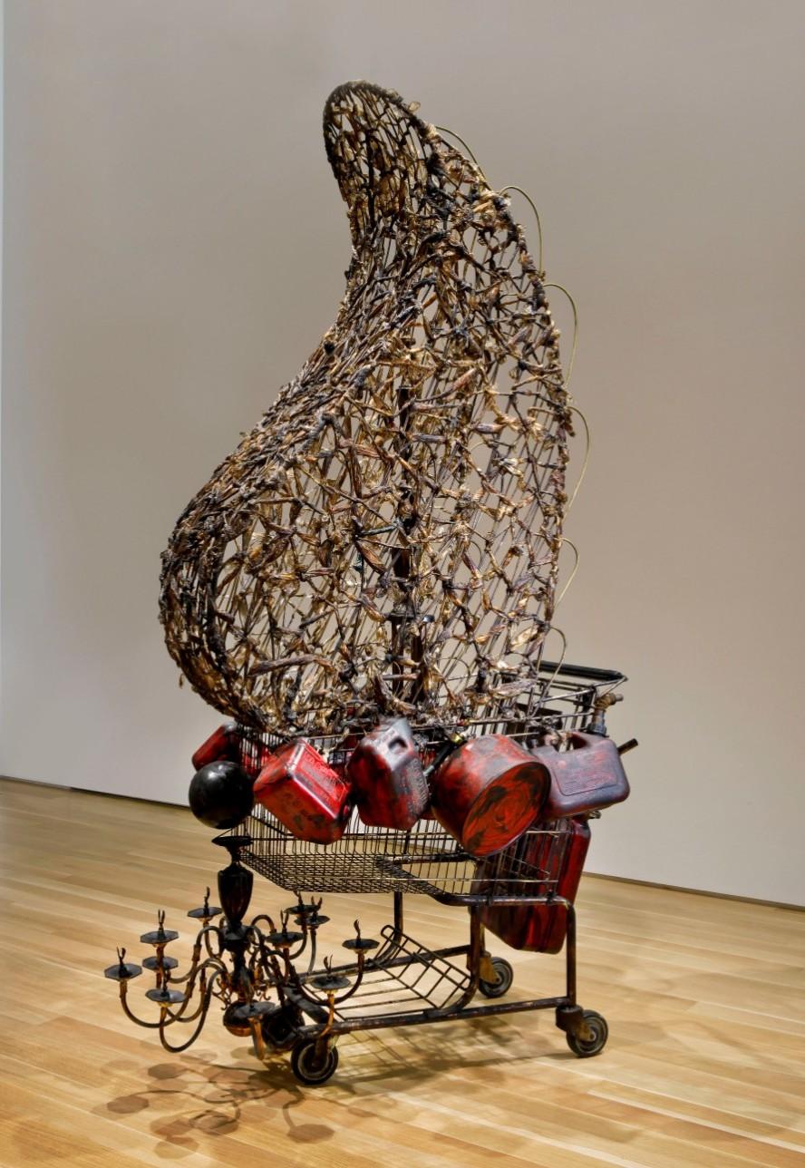 Nari Ward, Crusader, 2005