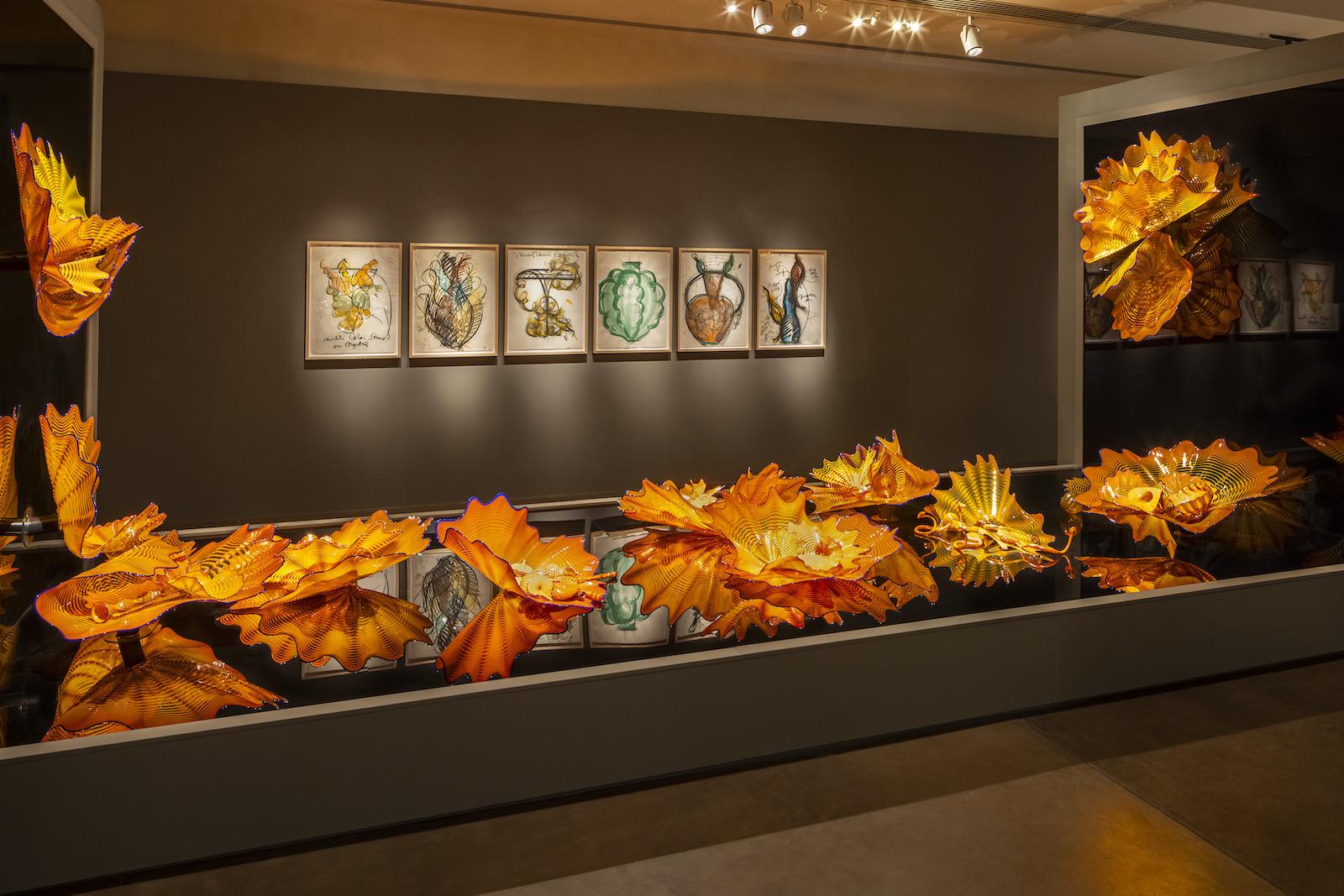 Dale Chihuly, Calendula Persians, 2017, Desert Botanical Garden, Phoenix, installed 2021, Photo by Nathaniel Willson.