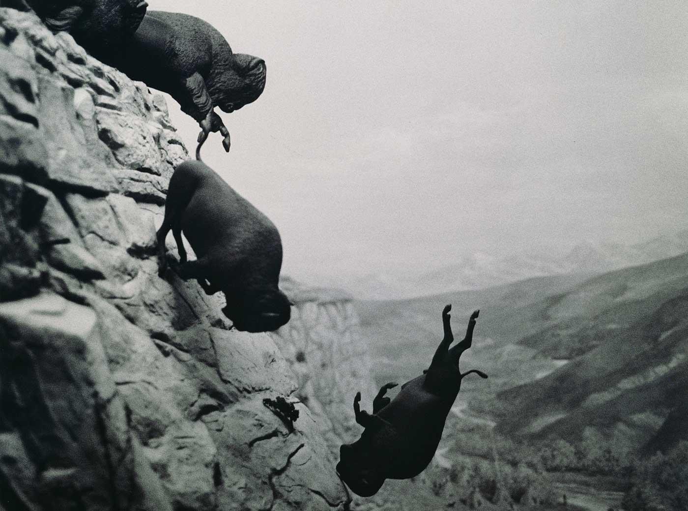 David Wojnarowicz, Untitled, 1988–89.