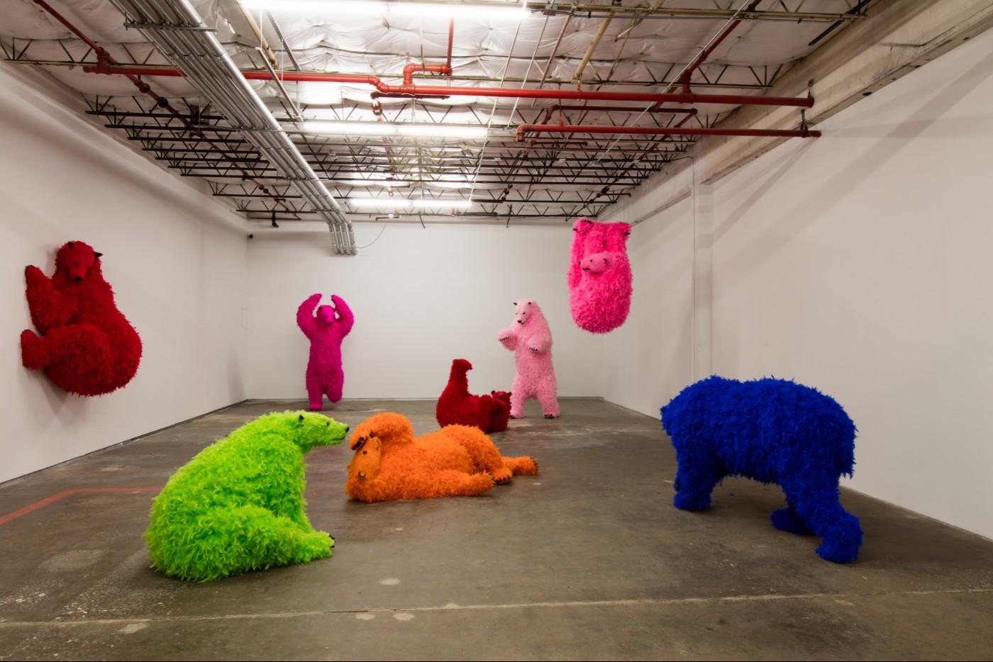 Paola Pivi: Ma’am, April 16 – August 21, 2016, Dallas Contemporary. Installation view.