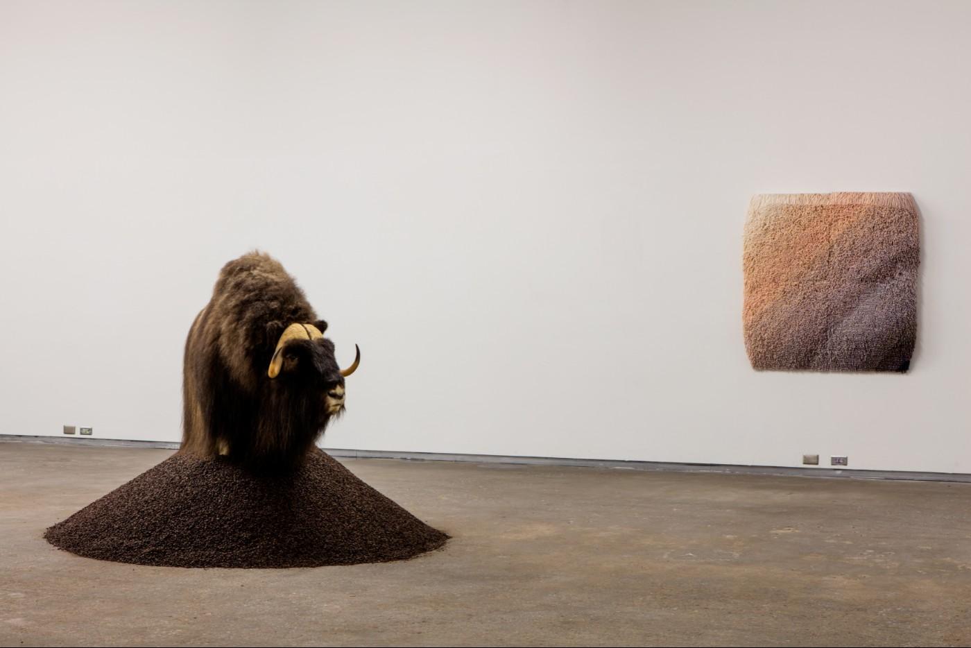 Paola Pivi: Ma’am, April 16 – August 21, 2016, Dallas Contemporary