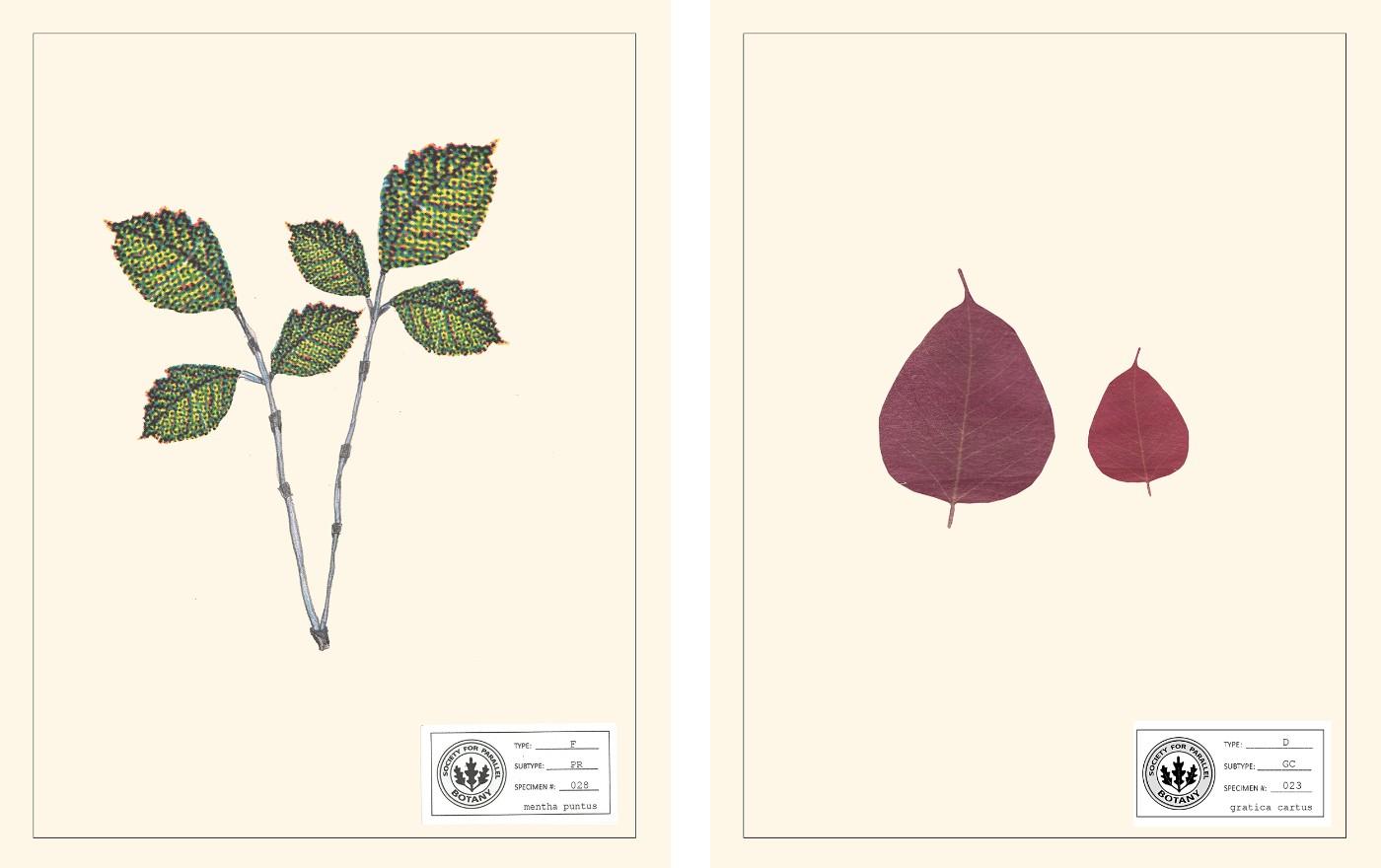 Parallel Botanies diptychs