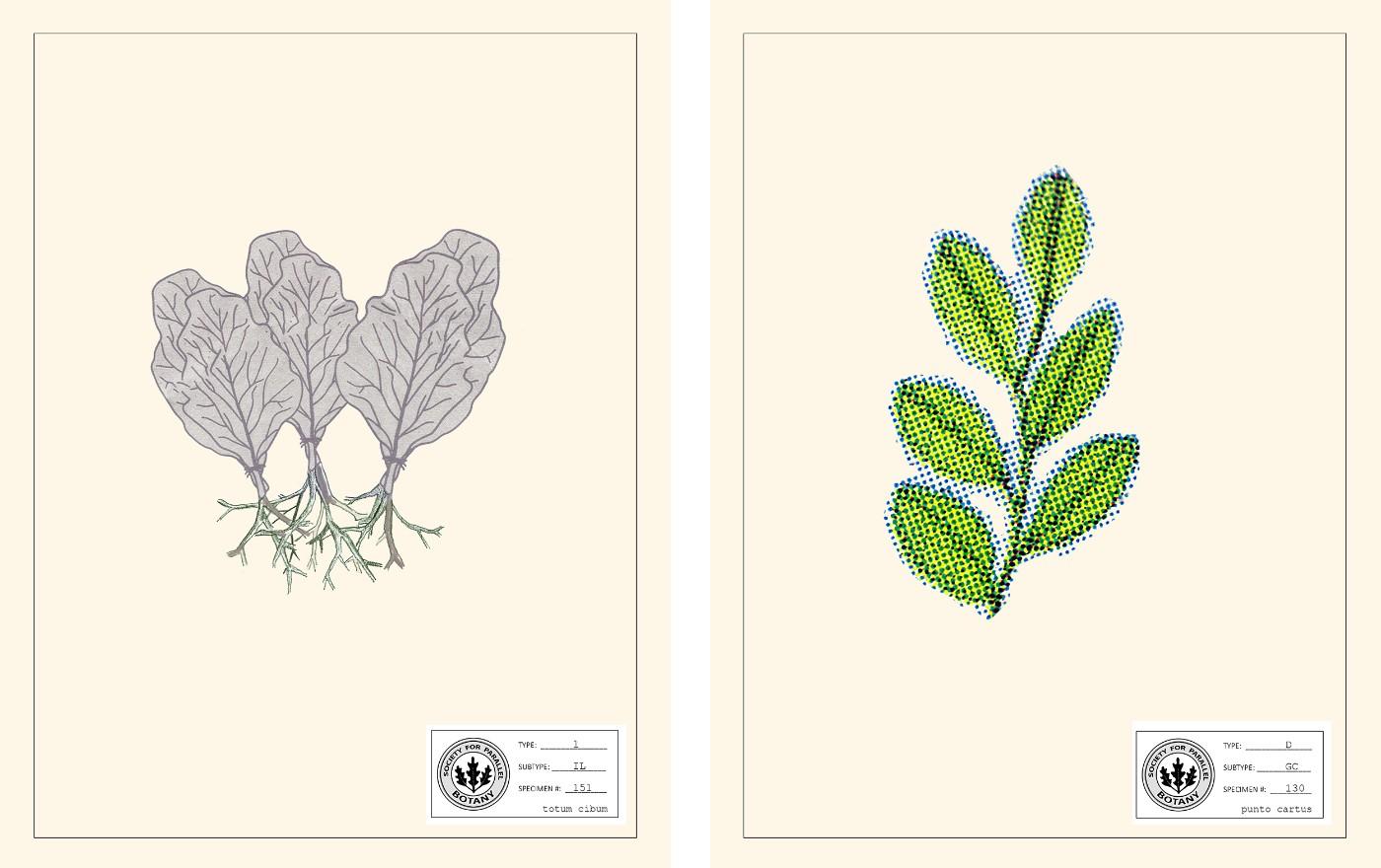 Parallel Botanies diptychs