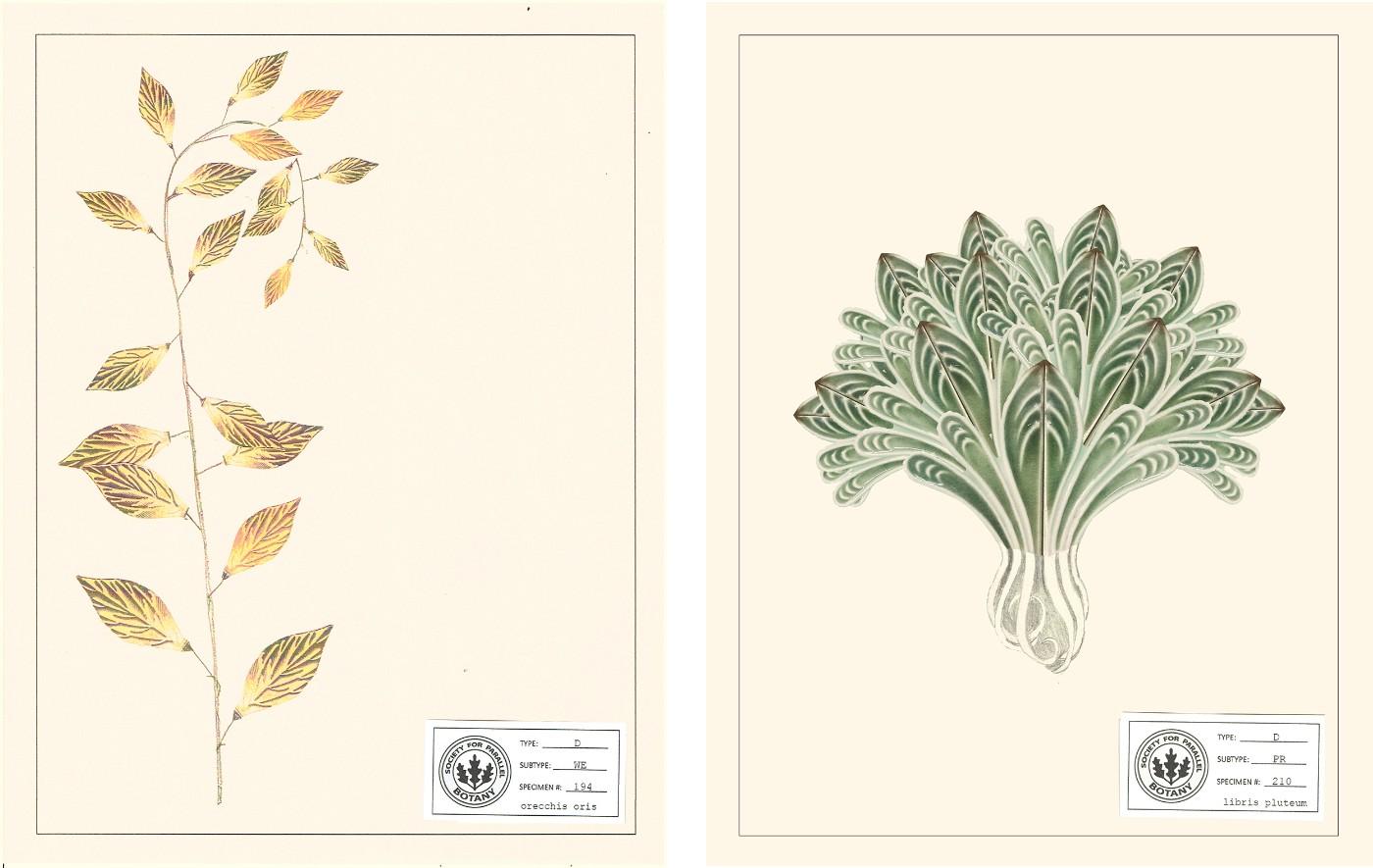 Parallel Botanies diptychs