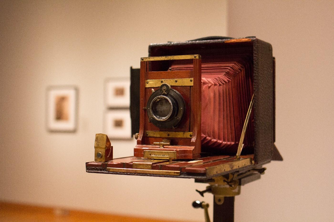 Installation view of Double Exposure