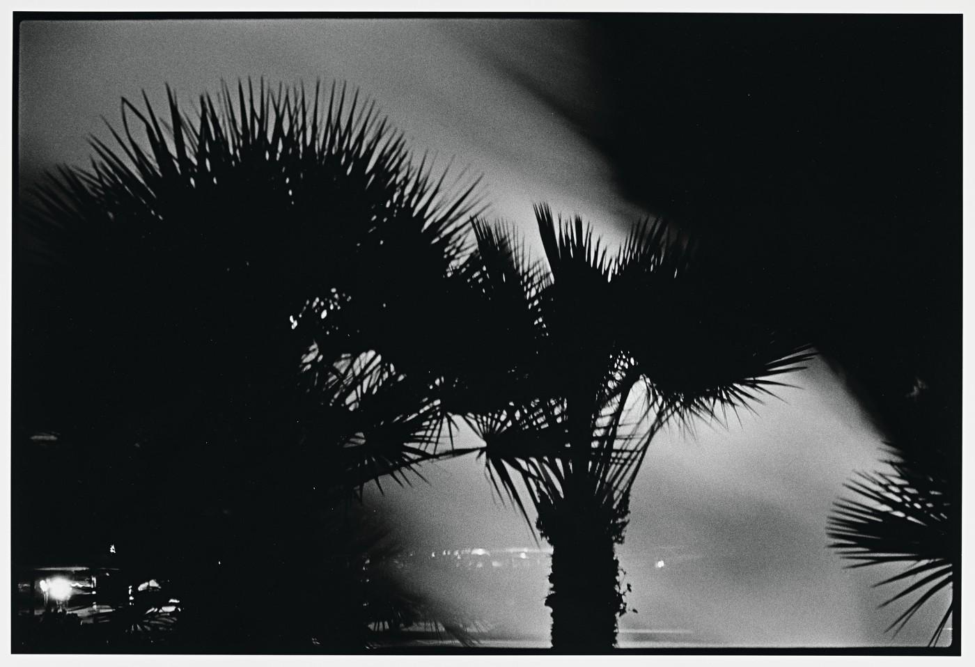 Robert Rauschenberg, Los Angeles, California, 1981