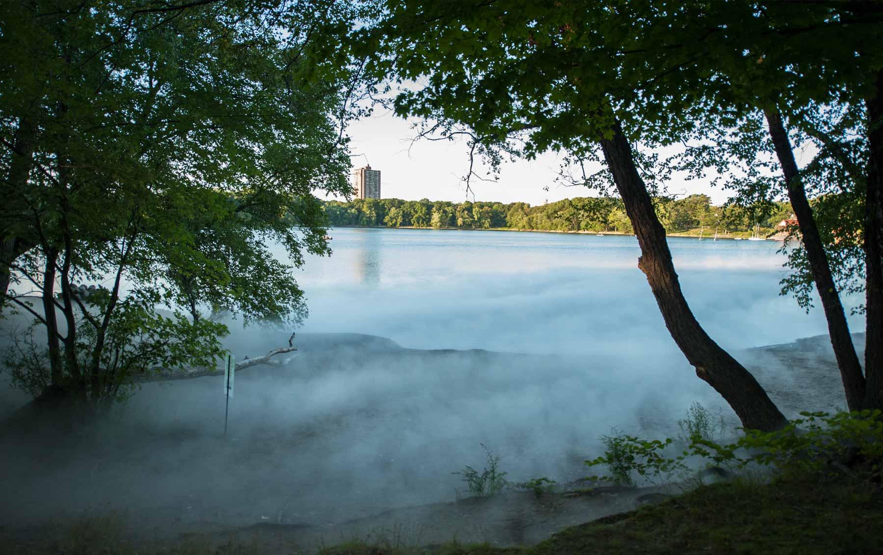Jamaica Pond of "Fog x FLO's Fog x Pond."