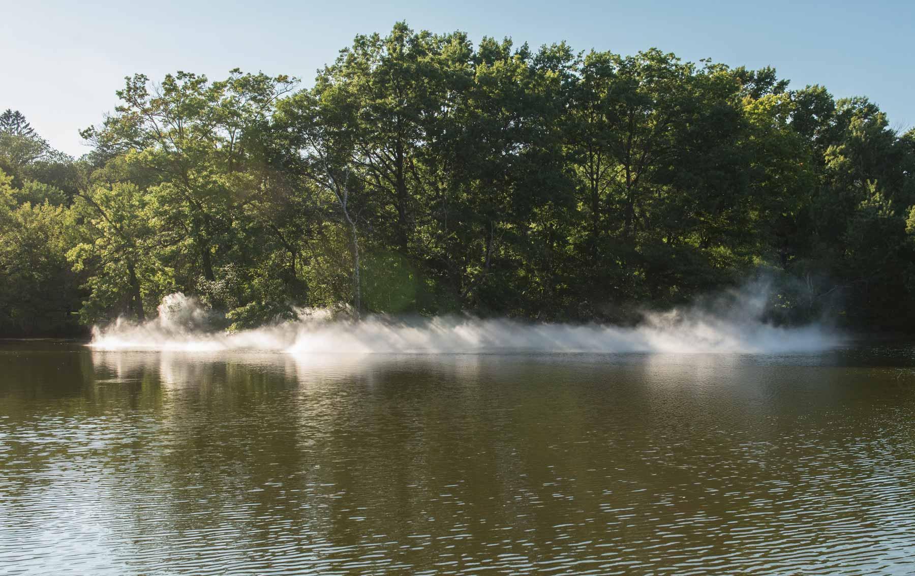 Leverett Pond of "Fog x FLO's Fog x Island."