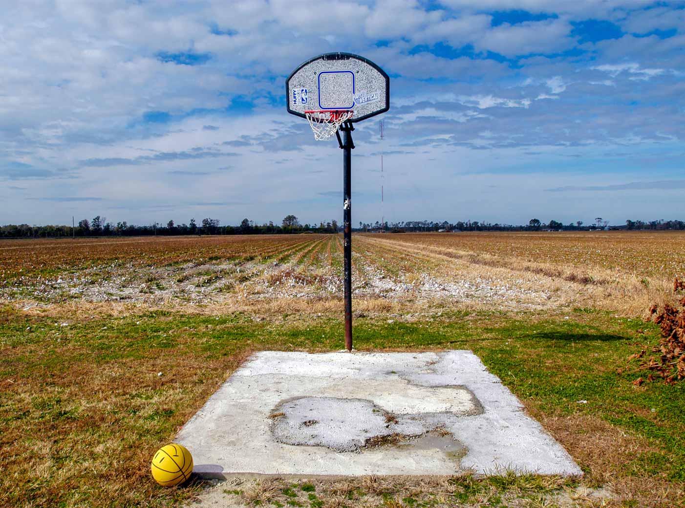 Farm Home by Cotton Field, Plymouth, North Carolina, 2004