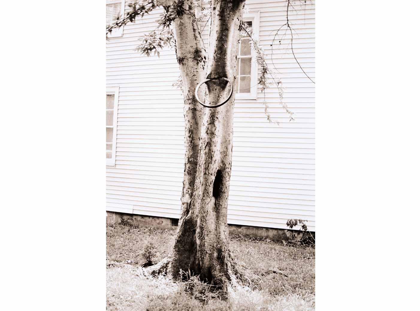 Money Tree, 1992