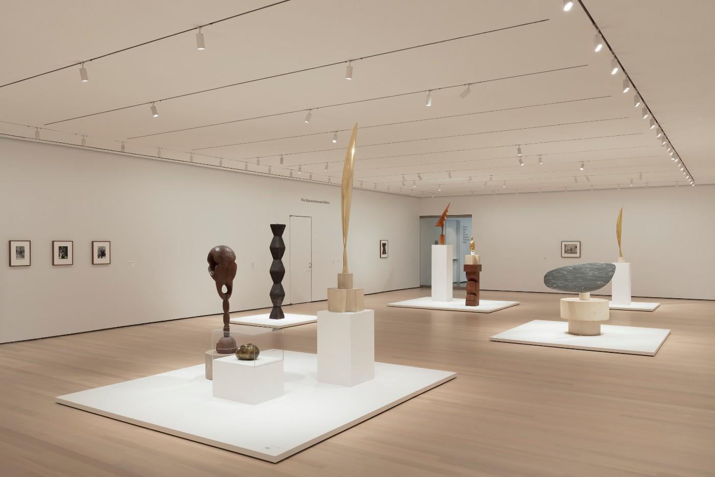 Installation view of Constantin Brancusi Sculpture