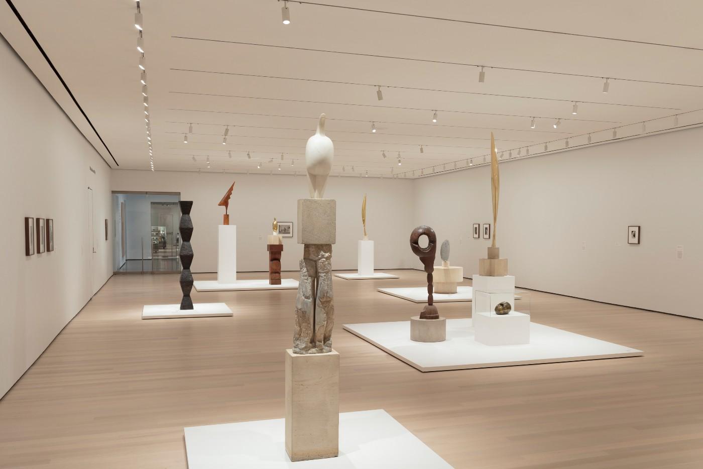 Installation view of Constantin Brancusi Sculpture