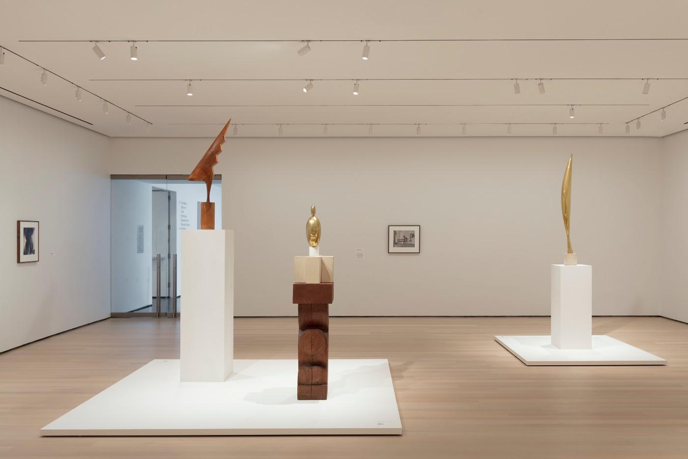Installation view of Constantin Brancusi Sculpture