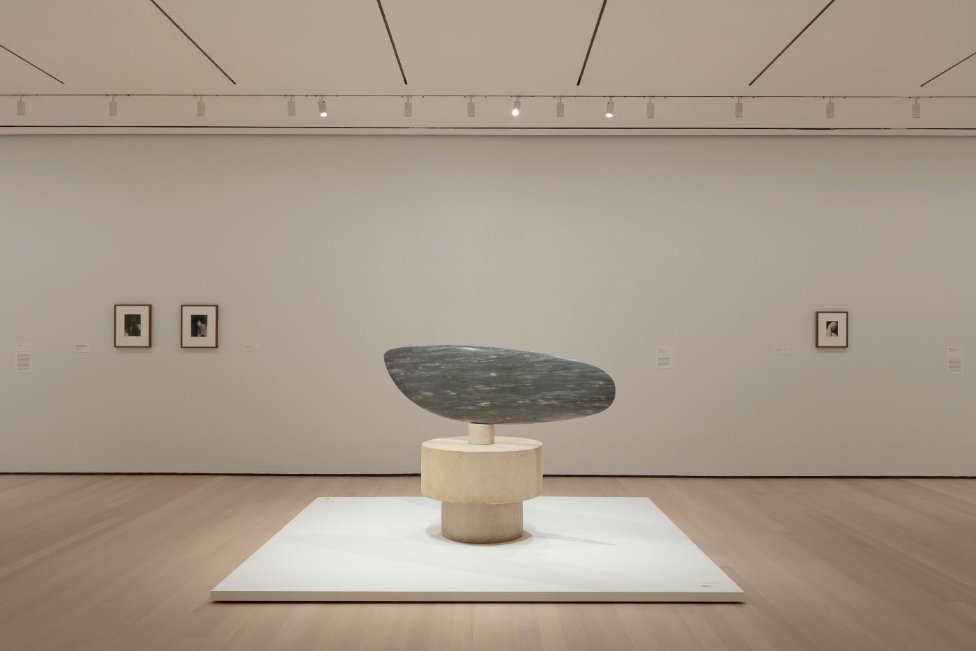 Installation view of Constantin Brancusi Sculpture
