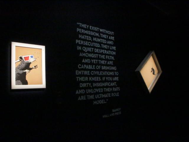 features image of rat in 3d glasses and another rat image. the frame a quote.