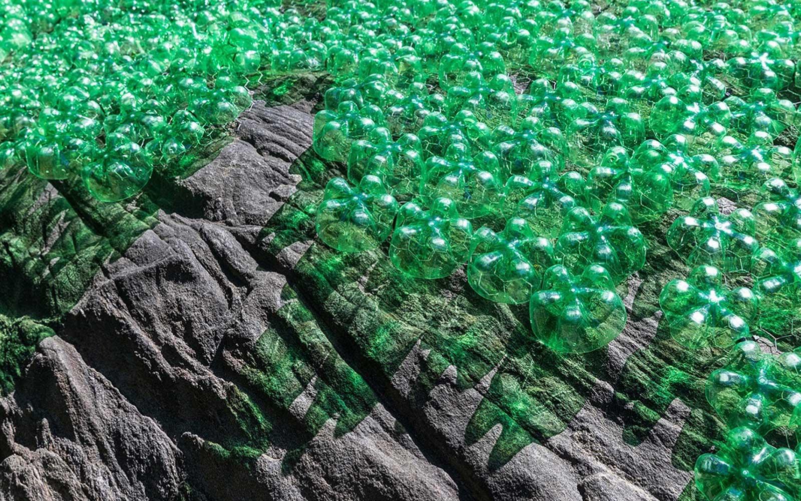 Jean Shin, Invasives, 2020.