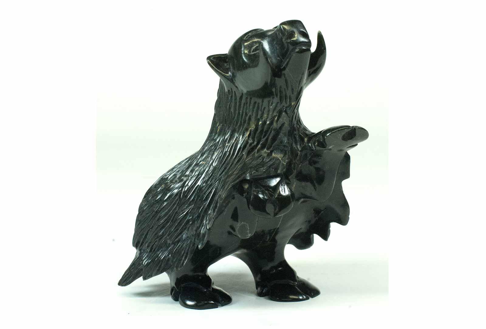 Kellypalik Etidolie, Muskox.