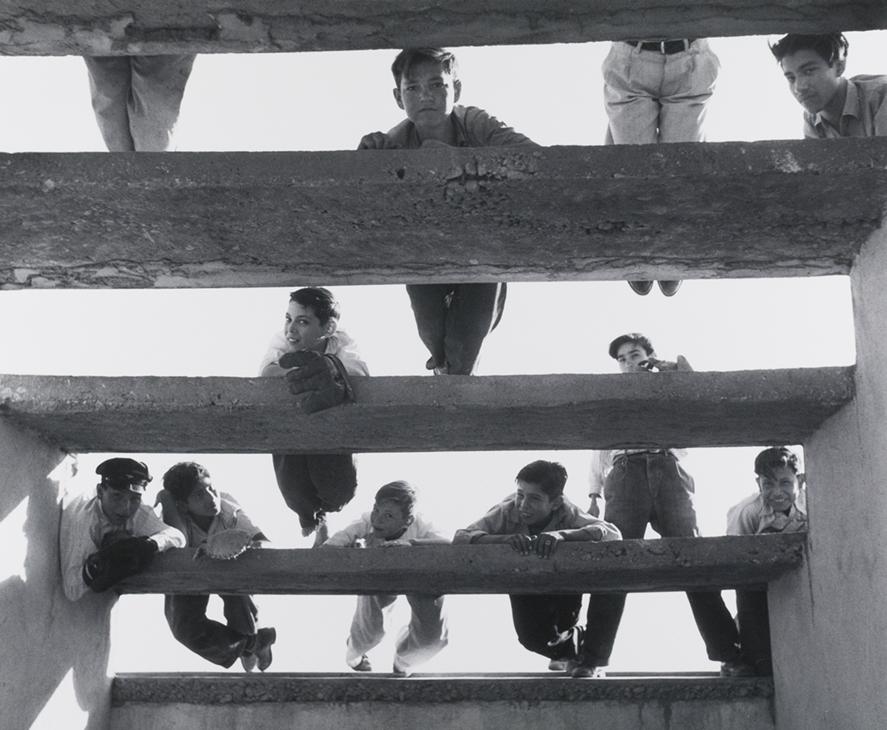 Lola lvarez Bravo (Mexican, 1903–1993), The Freeloaders, ca. 1955. Gelatin silver print. Image: 9 5/8 x 11 3/4 in (24.4 x 29.8 cm).
