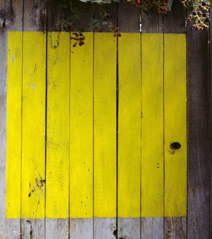 Merrill Wagner, Summer Studio, 1983 (after one year), 1984.