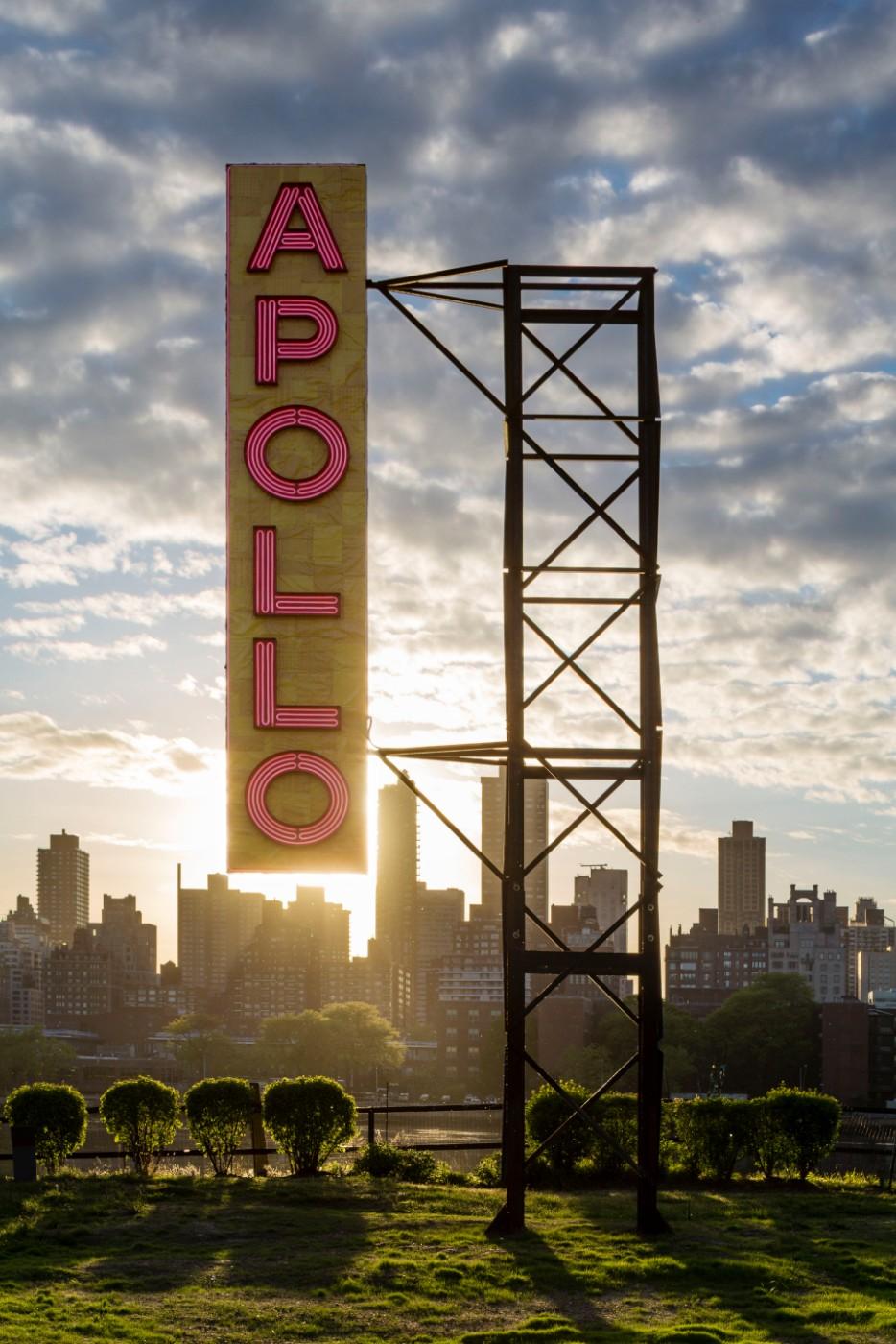 Nari Ward, Apollo/Poll, 2017