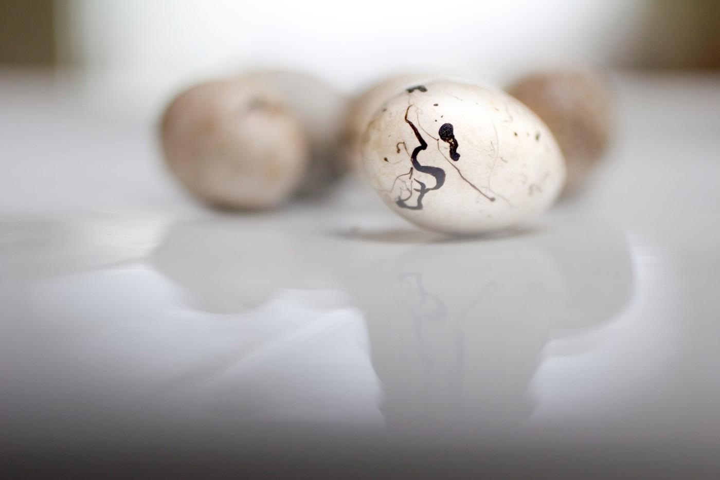 Olivia Parker, Eggs, 2005. Inkjet print.