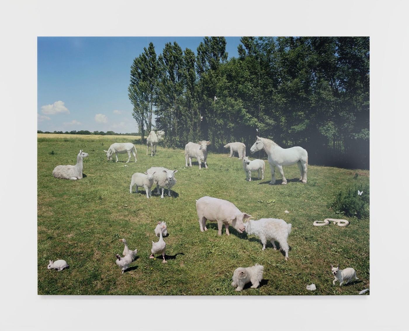 Paola Pivi, One love, 2007