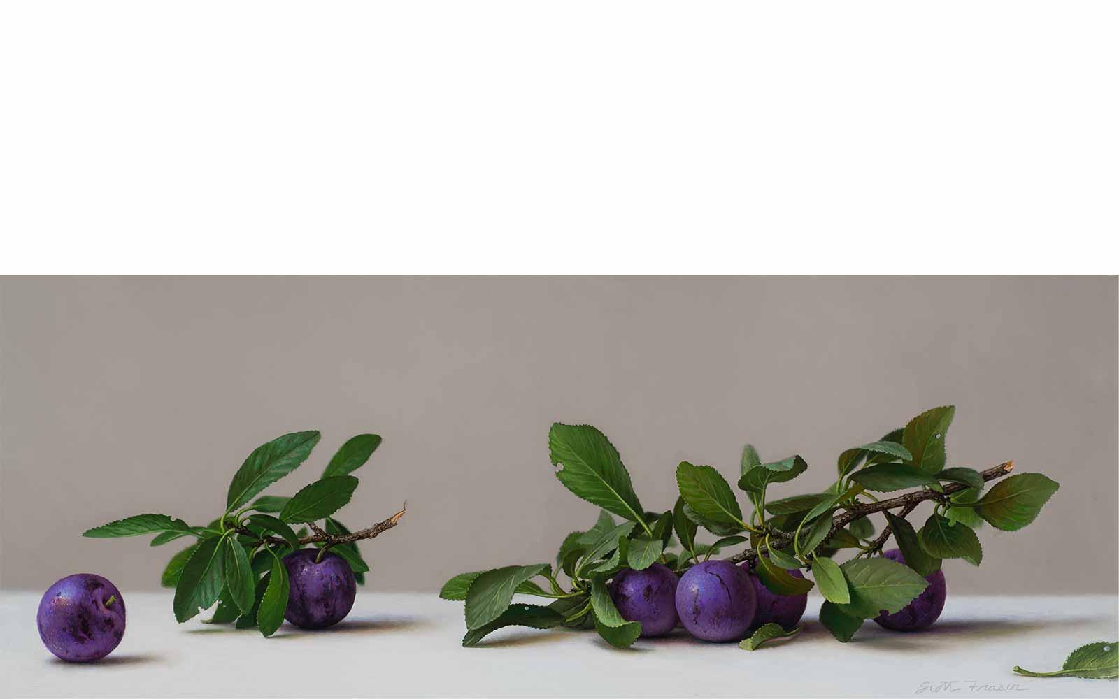 Scott Fraser, August Plums.