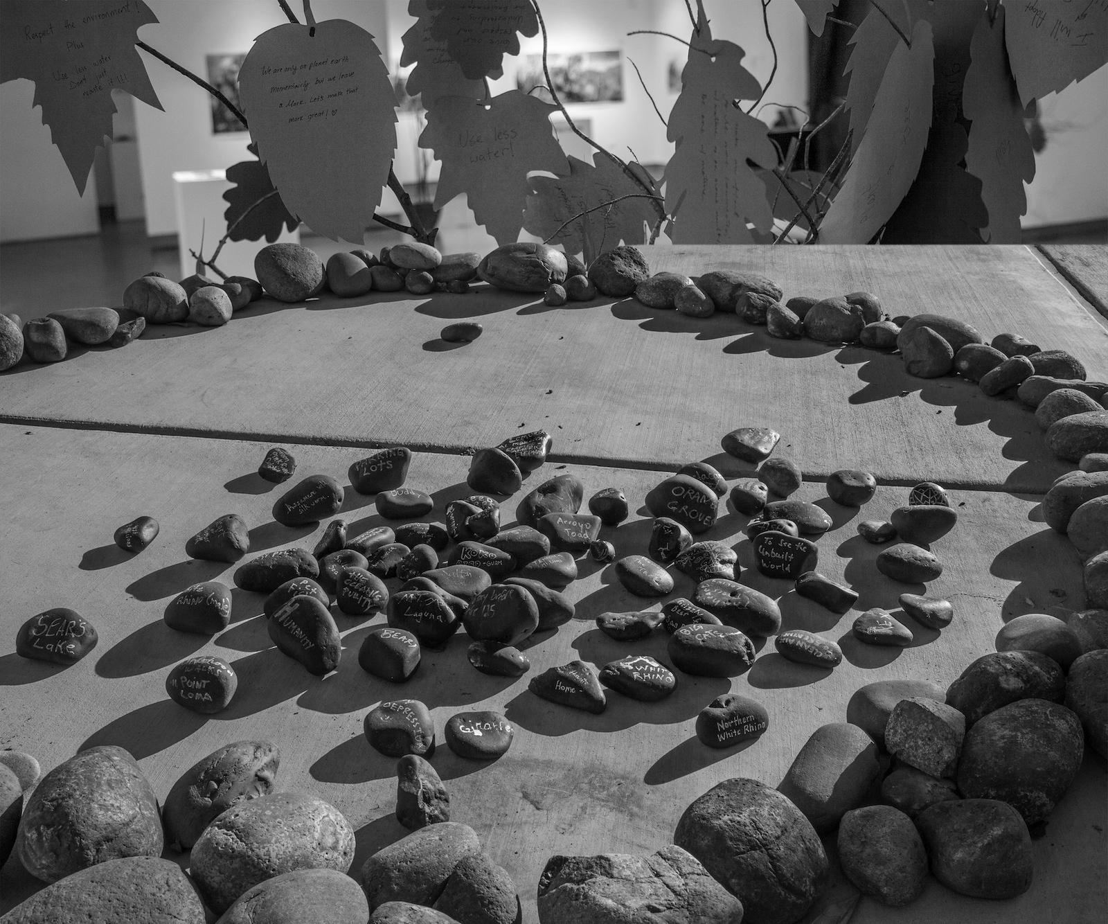 Ruth Wallen, Remember the Trees, 2018. Installation (detail), Mesa College Art Gallery, San Diego, California.