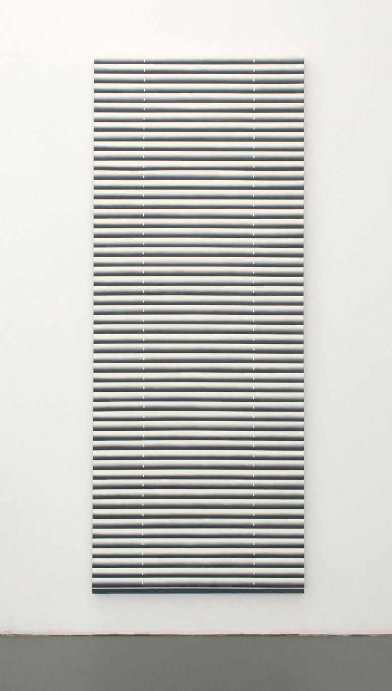 Mika Horibuchi, Screen Door, 2015