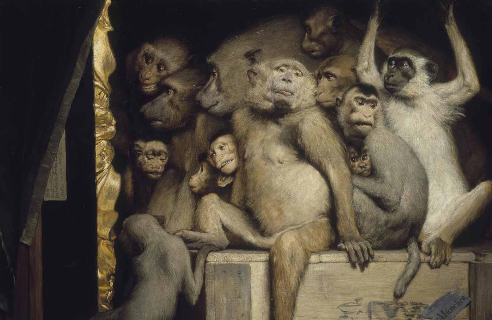 Monkeys as Judges of Art