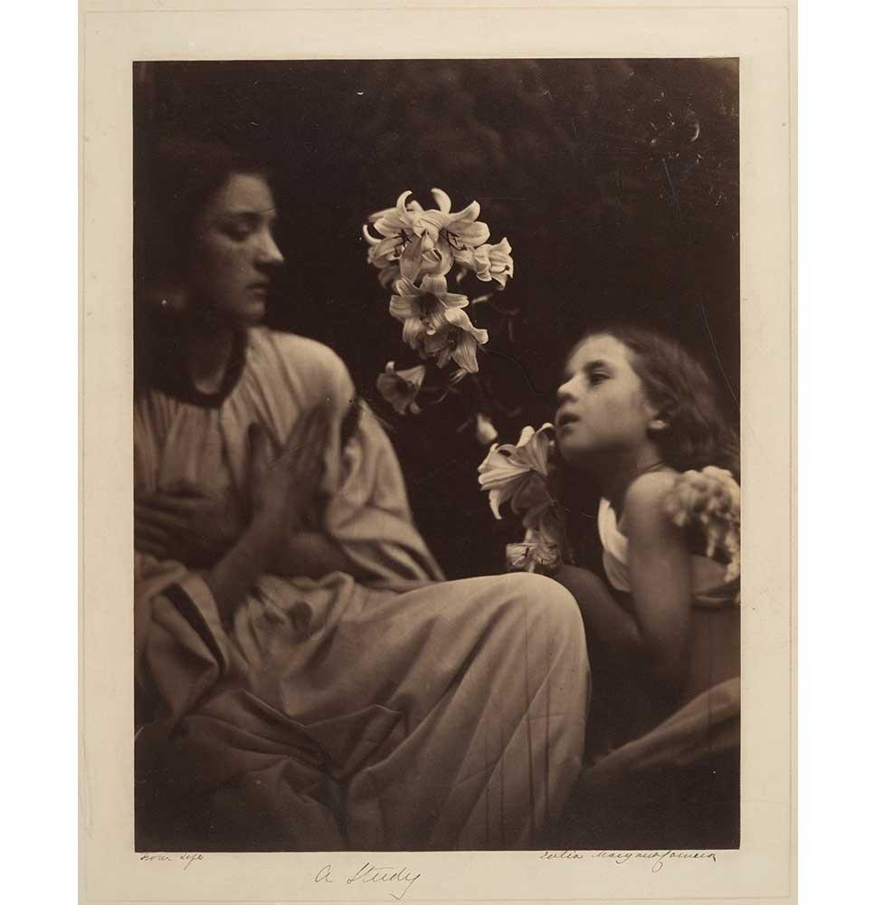 Julia Margaret Cameron, A Study, 1865-66.