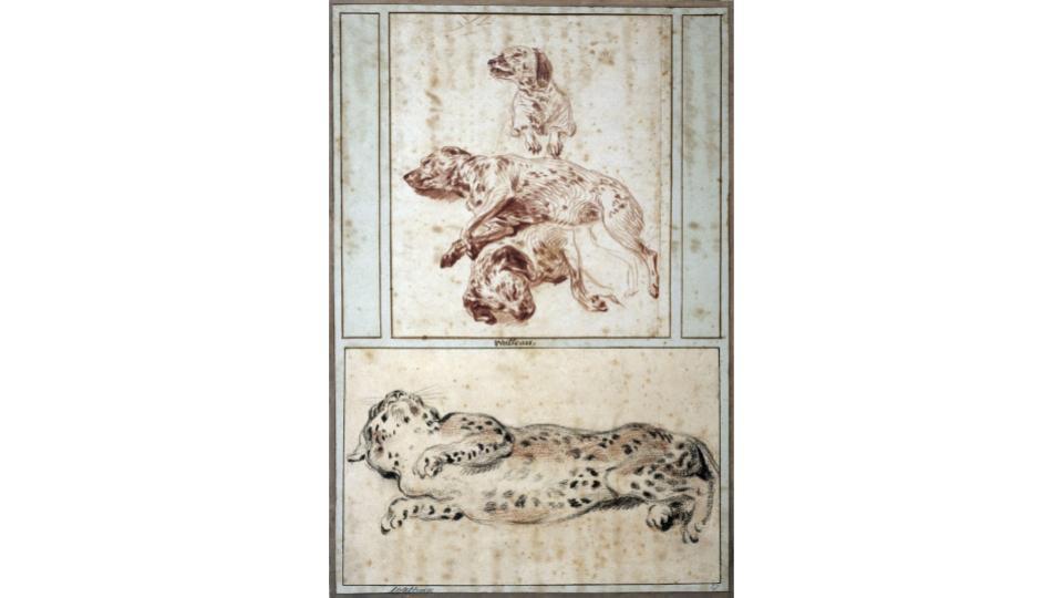 Jean-Antoine Watteau, Three studies of a dog, c. 1717. Cognacq-Jay Museum.