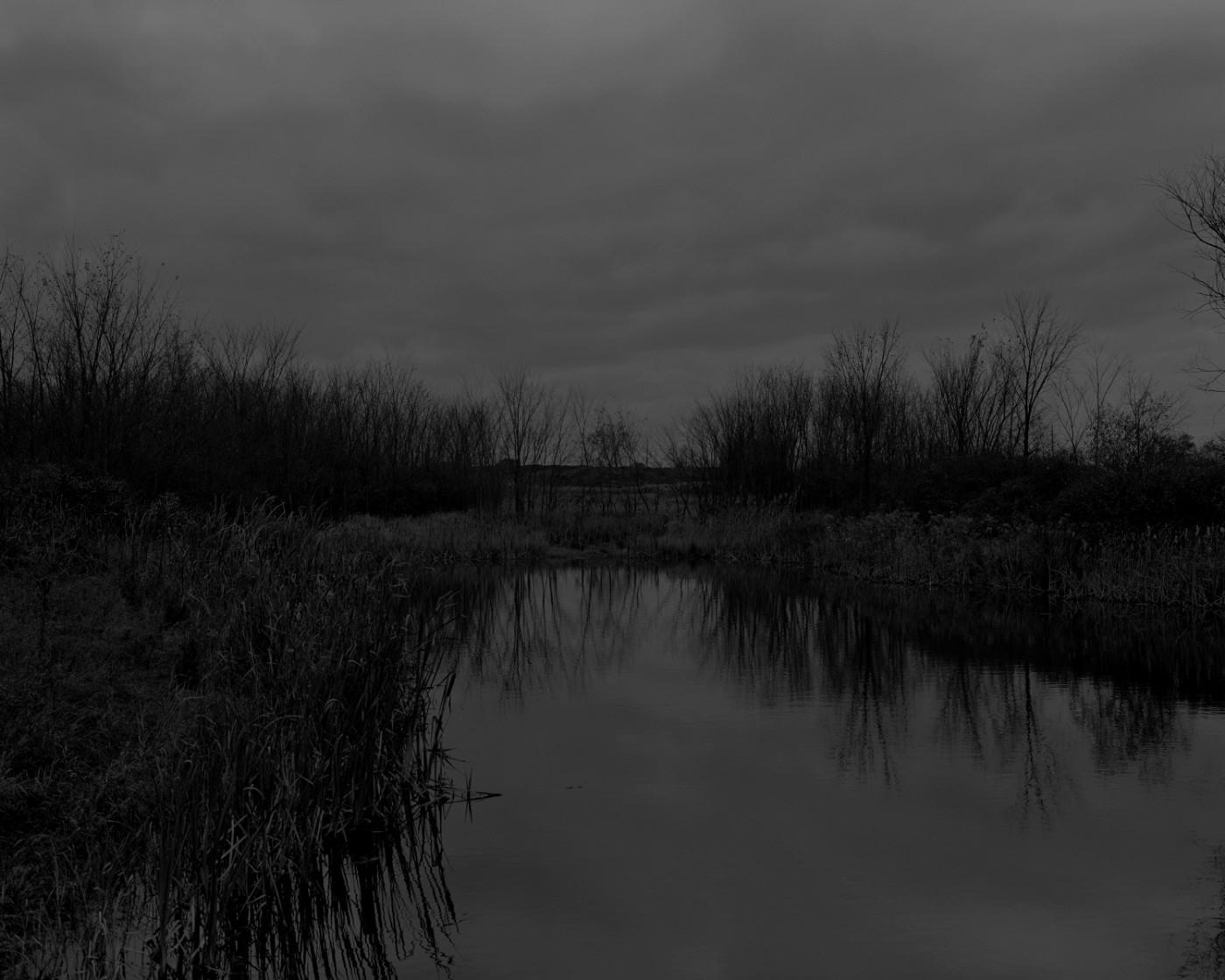 Dawoud Bey. Untitled #12 (The Marsh