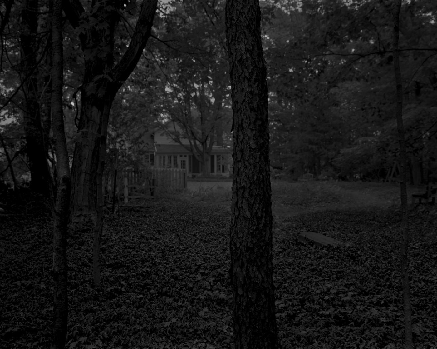 Dawoud Bey. Untitled #2 (Trees and Farmhouse)