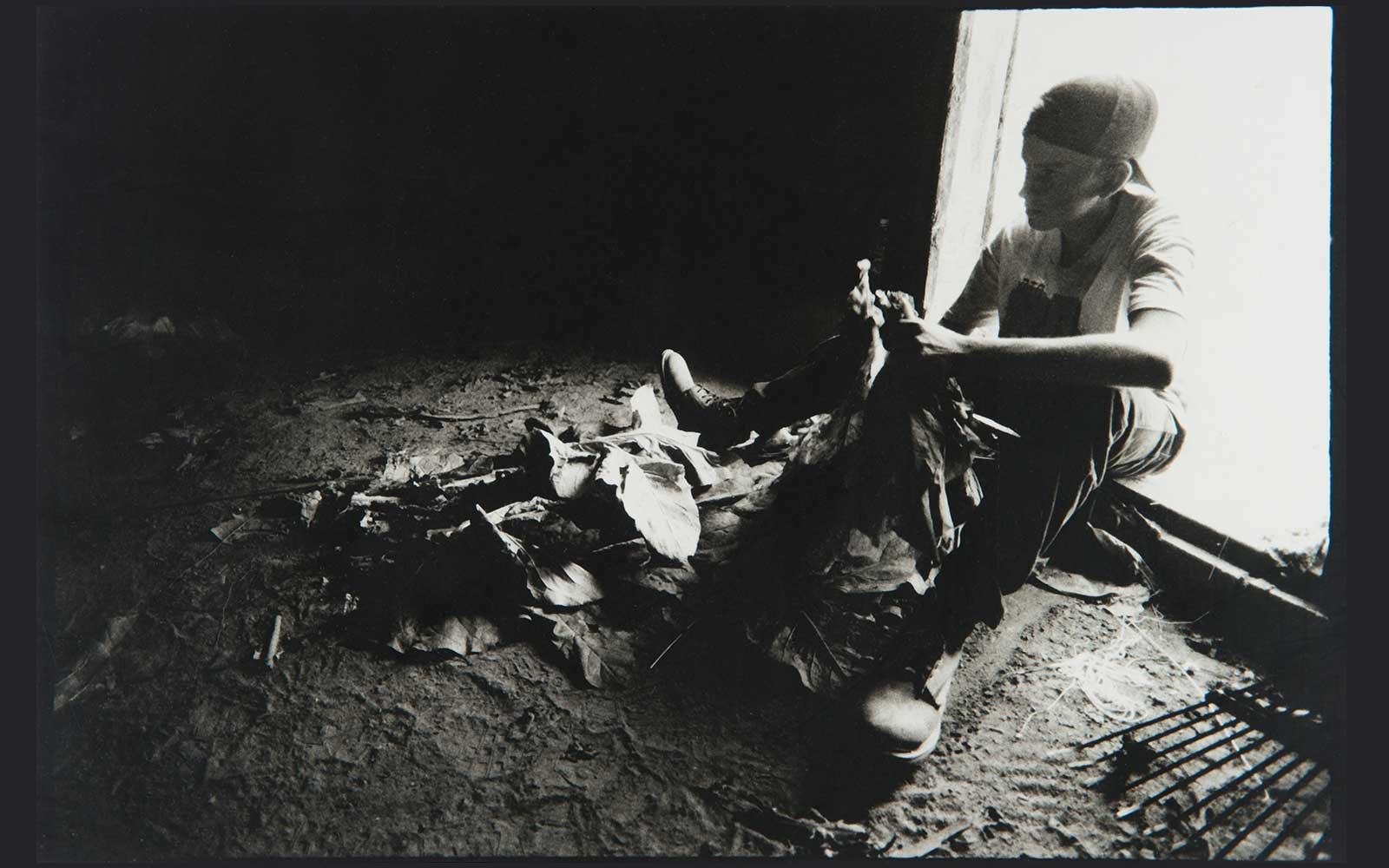 Luis-rey Velasco, Untitled, 1999