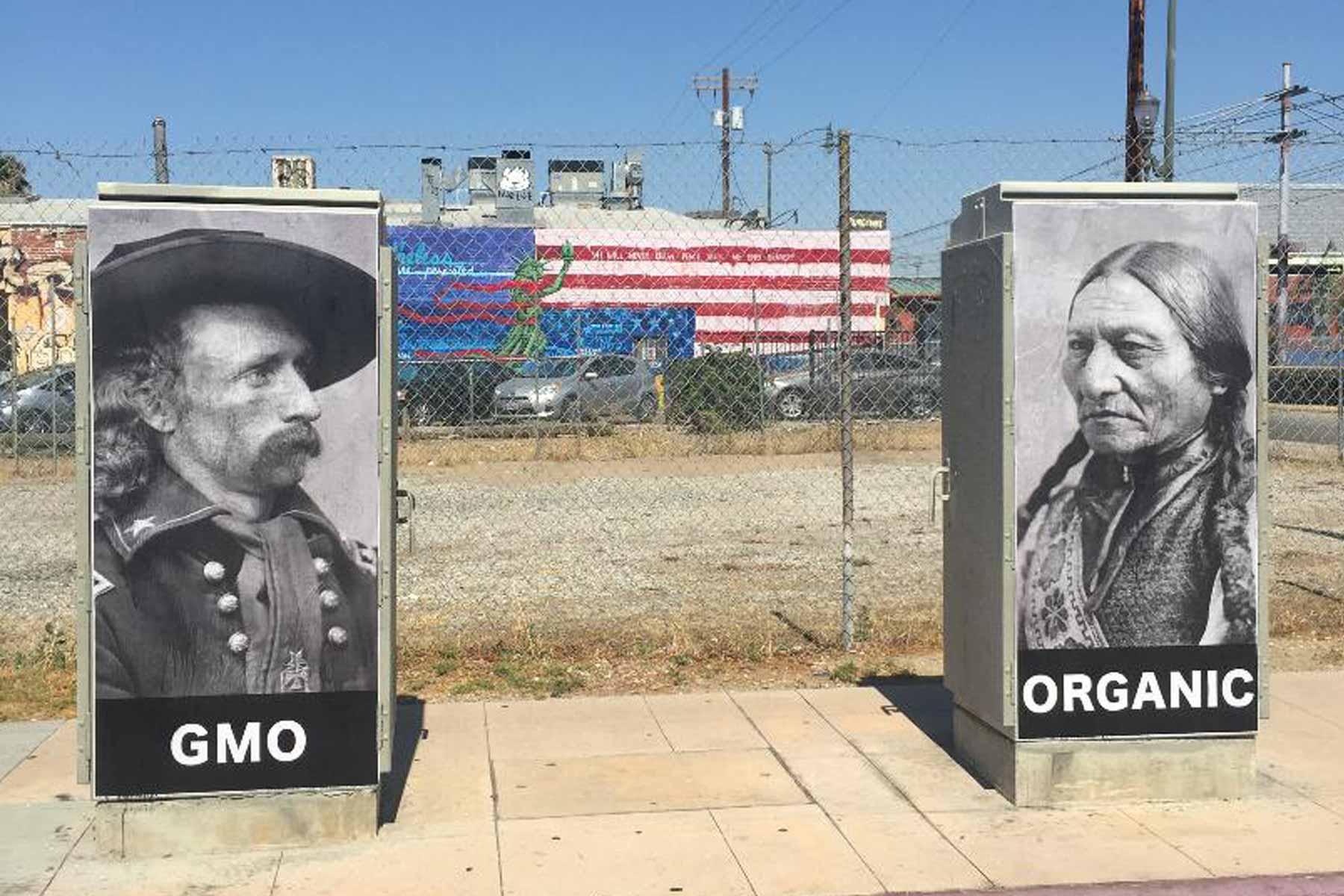 GMO Vs Organic